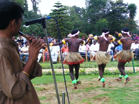 perfomance of bamboo